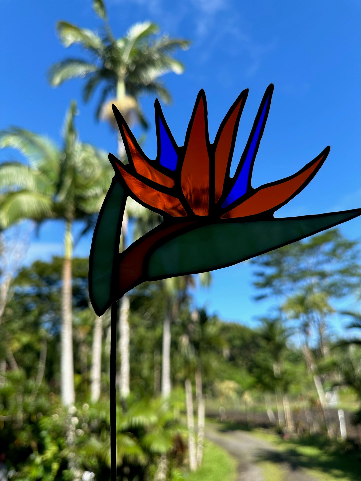 Stained Glass