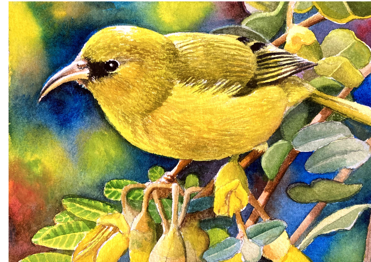 Watercolor + Mead Event 10/18/25