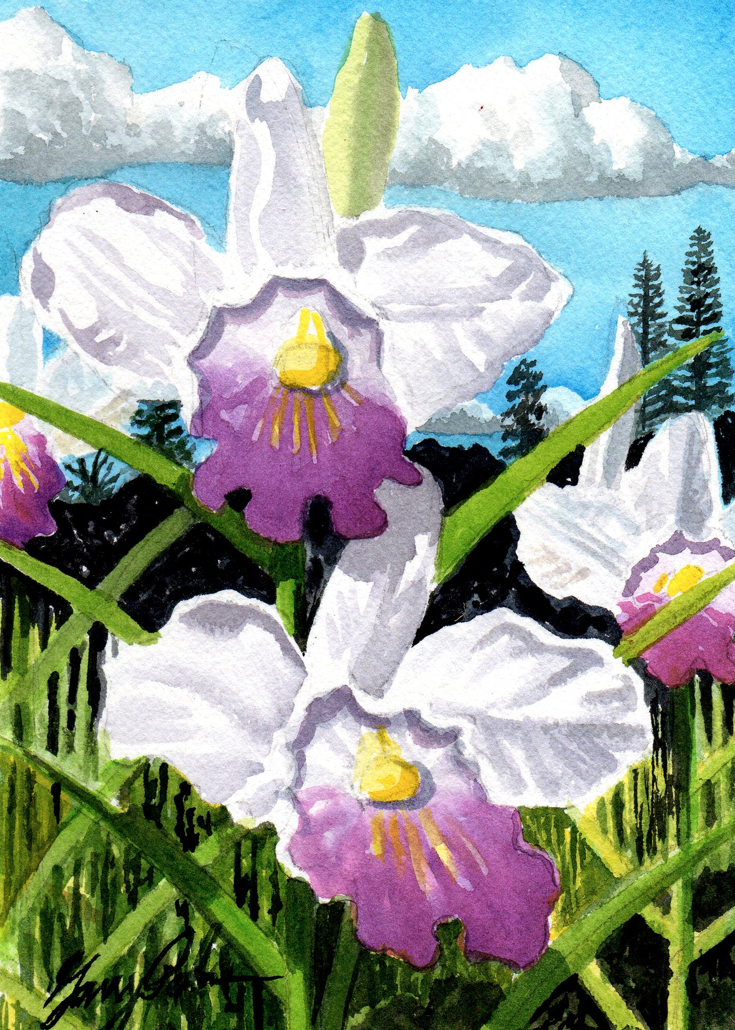 Watercolor + Mead Event 10/18/25