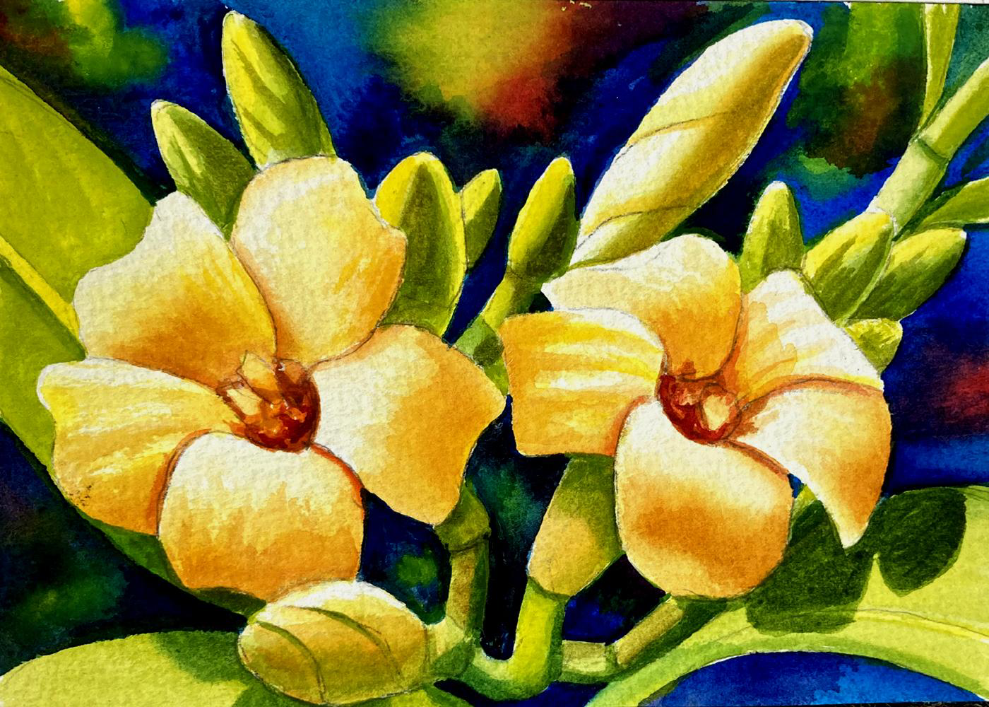 Watercolor + Mead Event 10/18/25