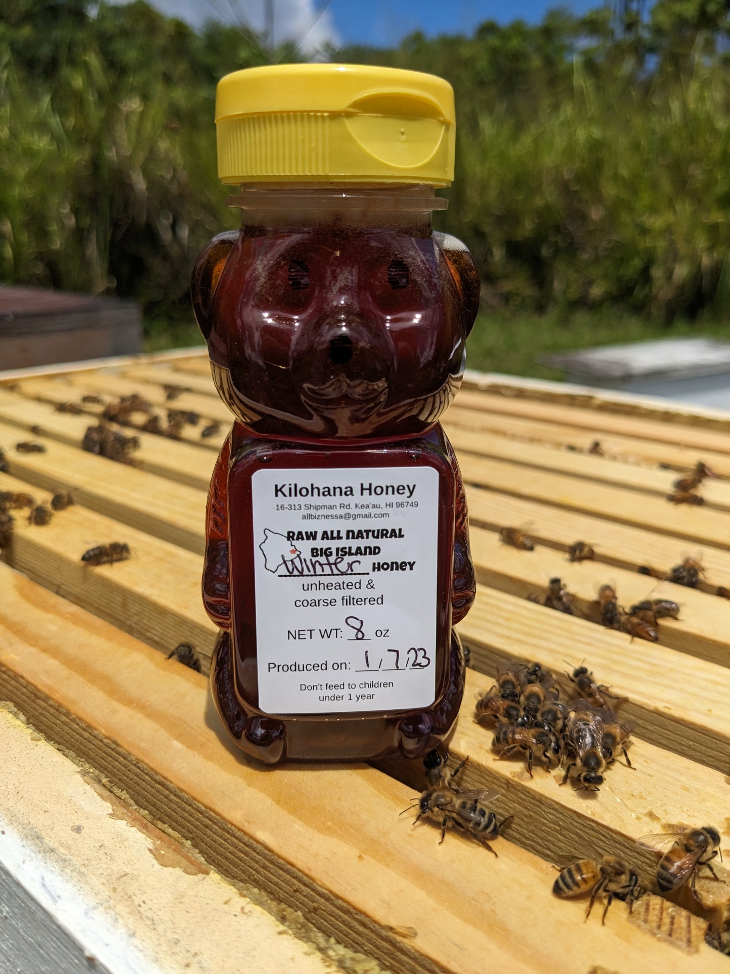 Winter Seasonal Honey