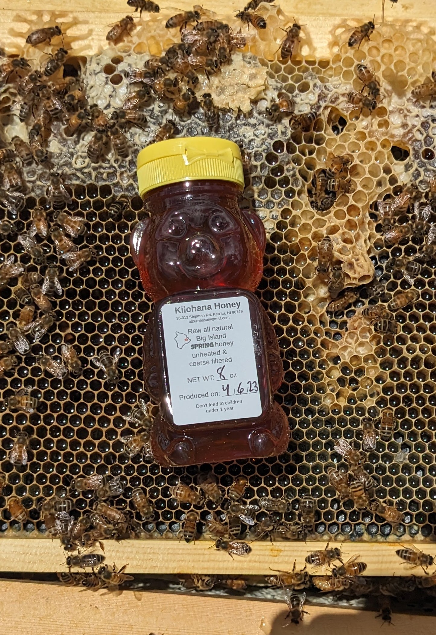 Spring Seasonal Honey
