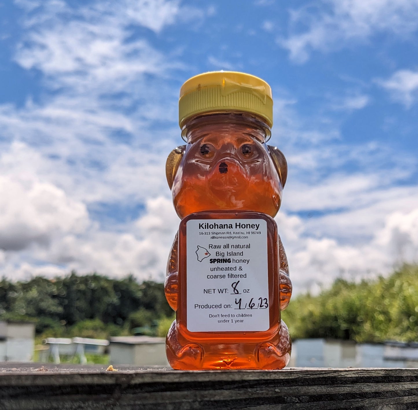 Spring Seasonal Honey