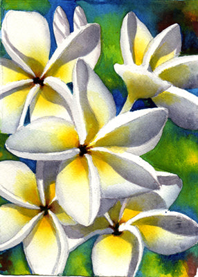 Watercolor + Mead Event 5/23/26