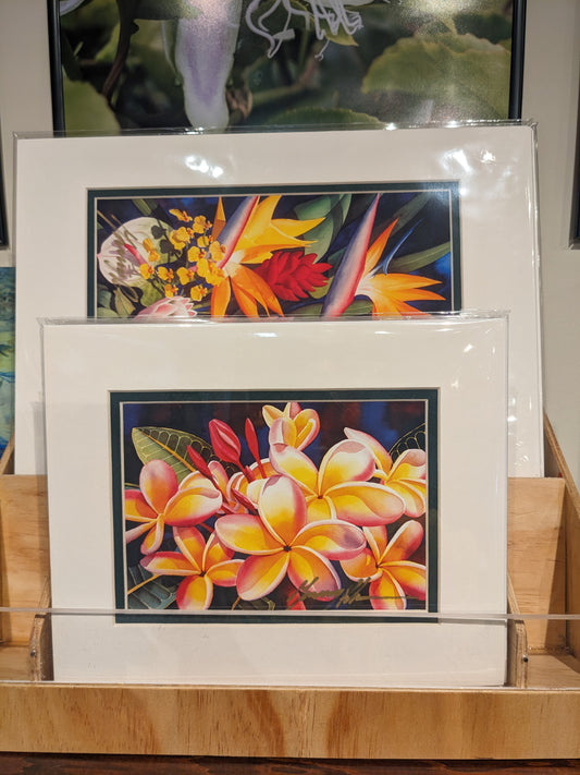 Garry Palm Assorted Prints