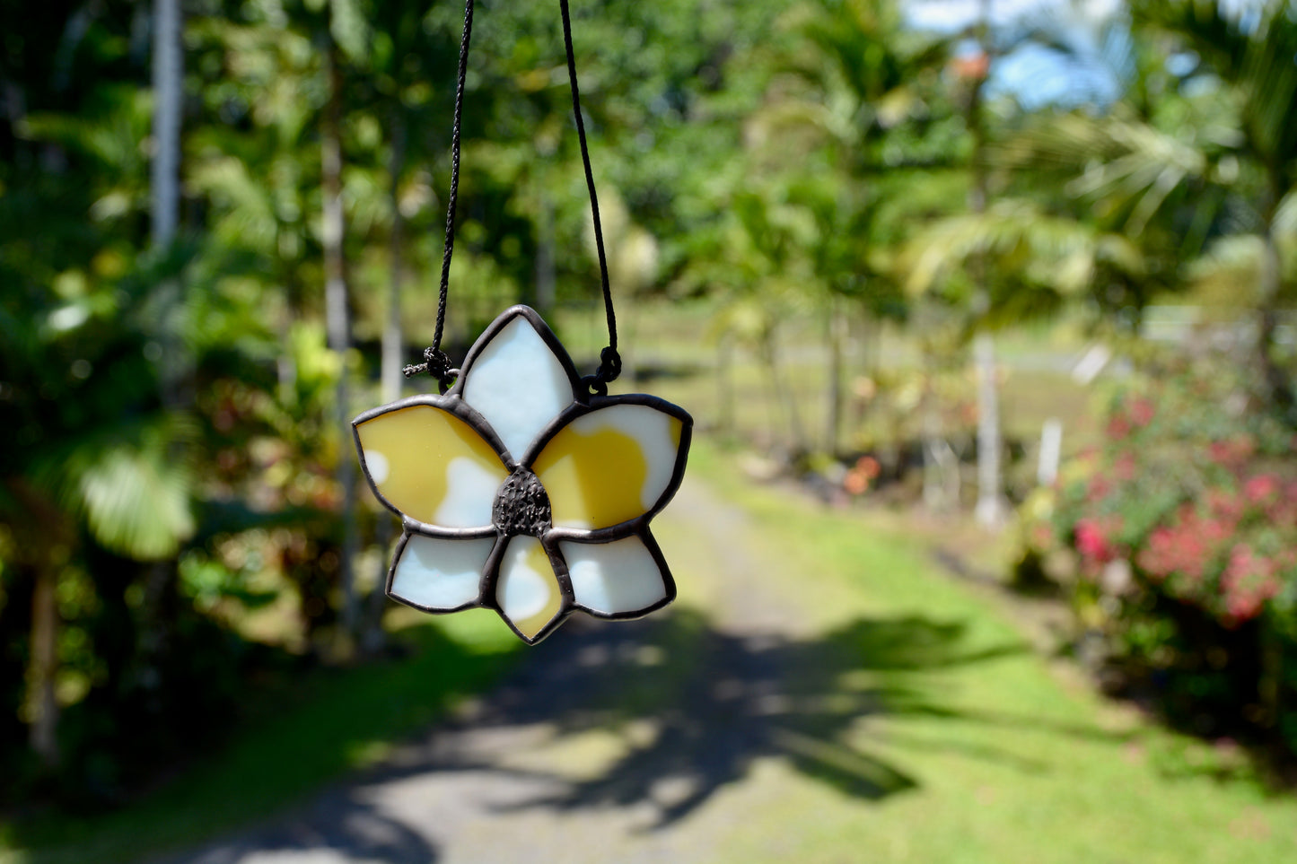 Stained Glass